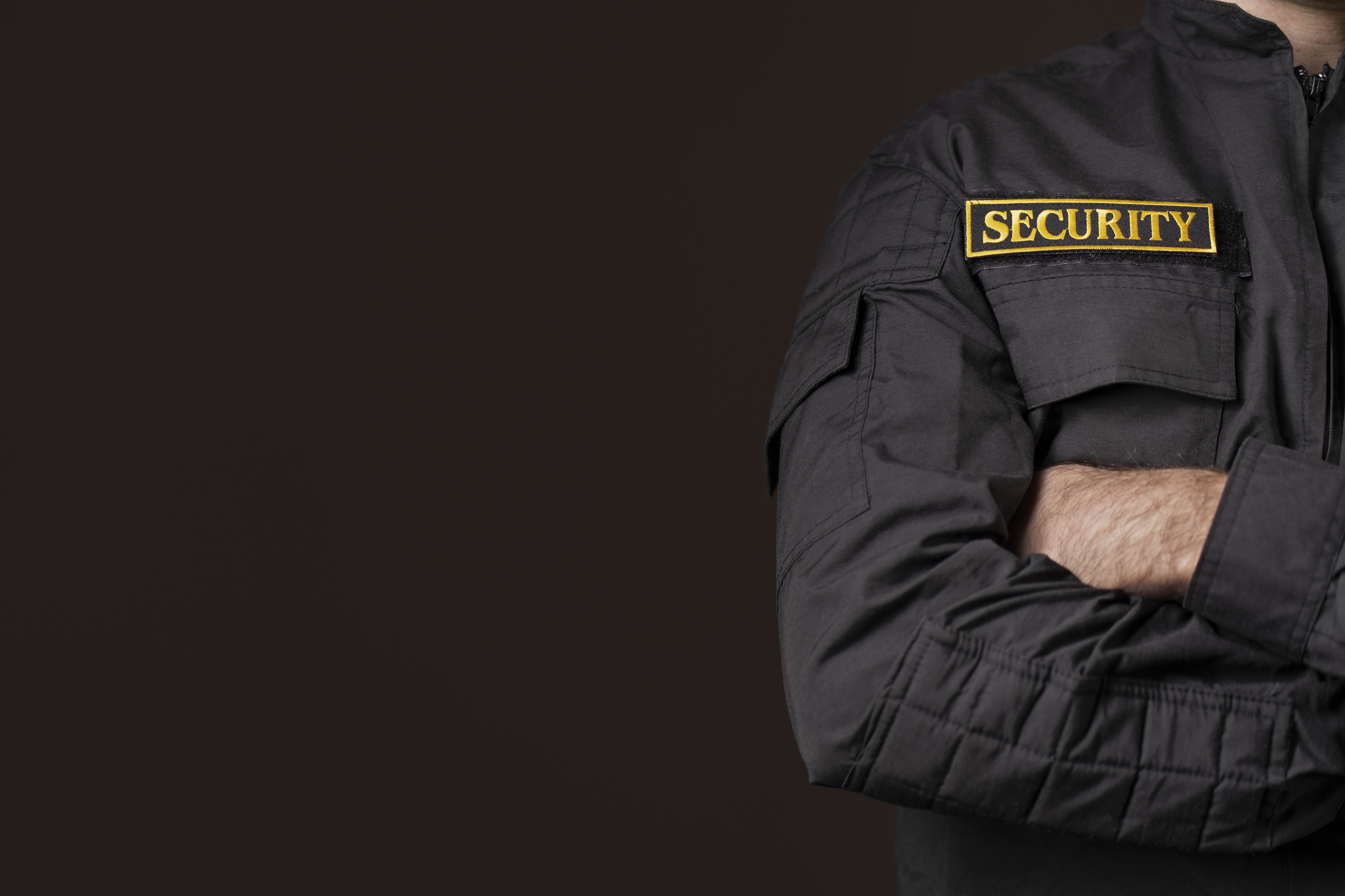 Professional Security Services